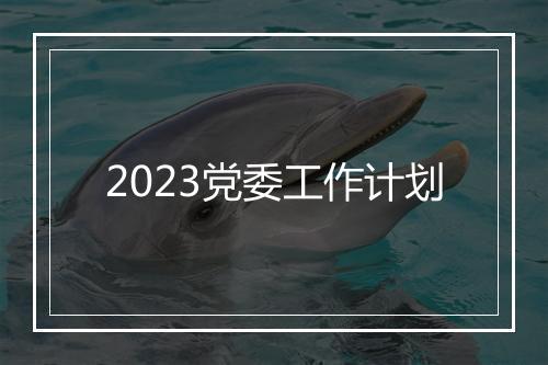 2023党委工作计划