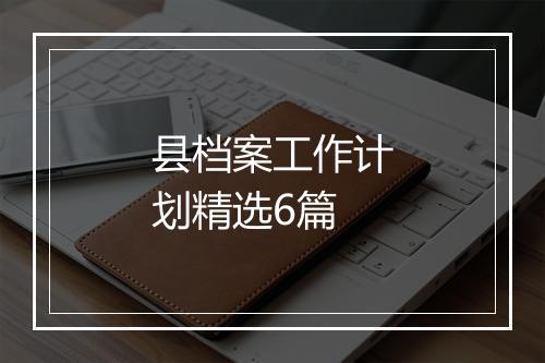 县档案工作计划精选6篇