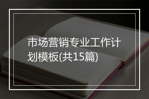 市场营销专业工作计划模板(共15篇)