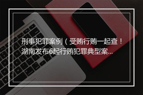 刑事犯罪案例（受贿行贿一起查！湖南发布6起行贿犯罪典型案例）