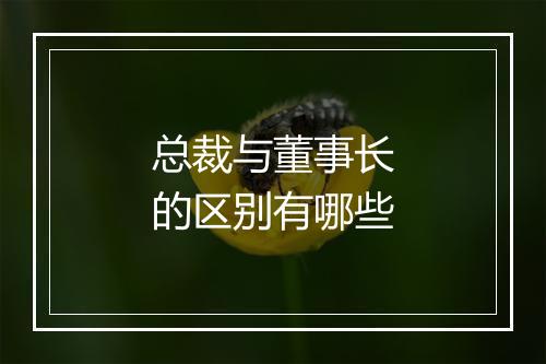 总裁与董事长的区别有哪些