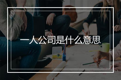 一人公司是什么意思