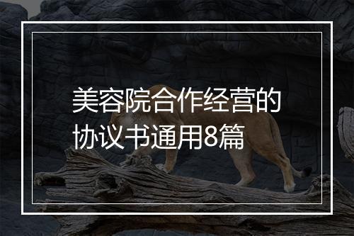 美容院合作经营的协议书通用8篇