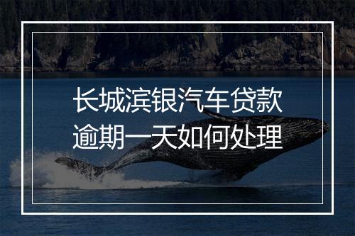 长城滨银汽车贷款逾期一天如何处理