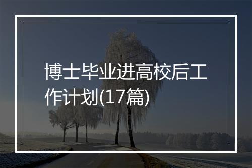 博士毕业进高校后工作计划(17篇)