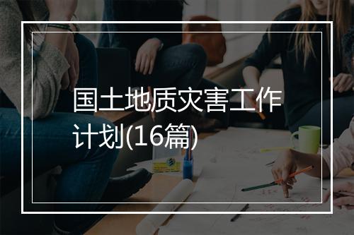 国土地质灾害工作计划(16篇)