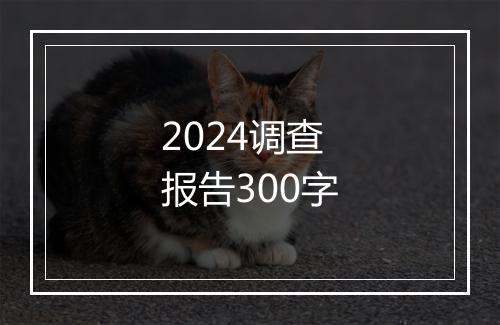 2024调查报告300字