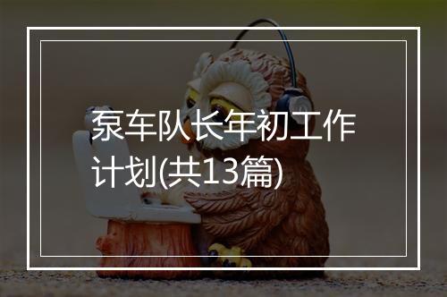 泵车队长年初工作计划(共13篇)