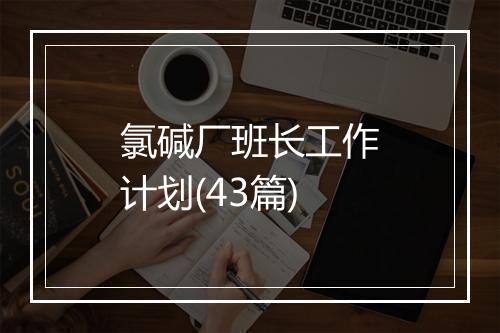 氯碱厂班长工作计划(43篇)