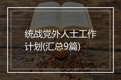 统战党外人士工作计划(汇总9篇)