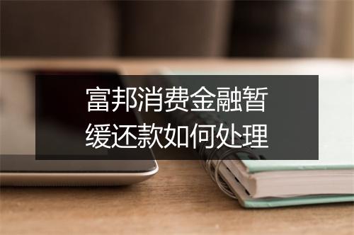 富邦消费金融暂缓还款如何处理