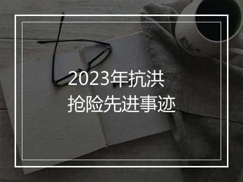 2023年抗洪抢险先进事迹