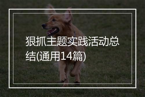 狠抓主题实践活动总结(通用14篇)