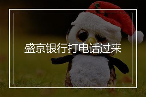 盛京银行打电话过来