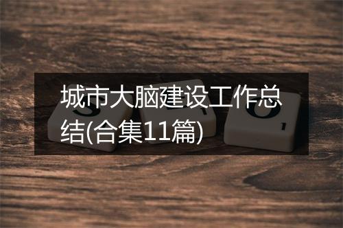 城市大脑建设工作总结(合集11篇)