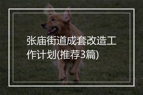 张庙街道成套改造工作计划(推荐3篇)