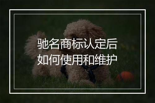 驰名商标认定后如何使用和维护