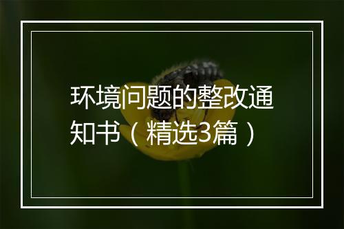 环境问题的整改通知书（精选3篇）