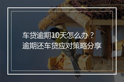 车贷逾期10天怎么办？逾期还车贷应对策略分享