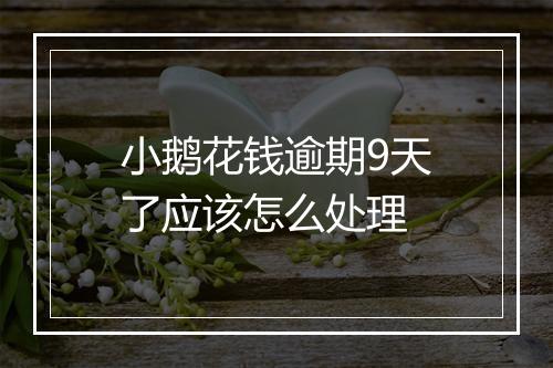 小鹅花钱逾期9天了应该怎么处理