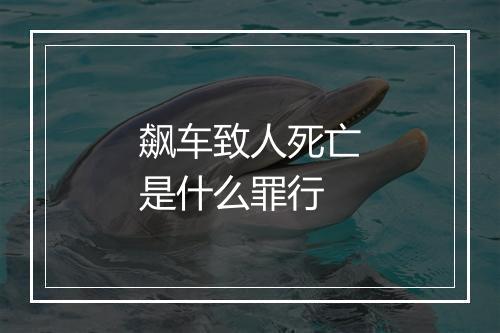 飙车致人死亡是什么罪行