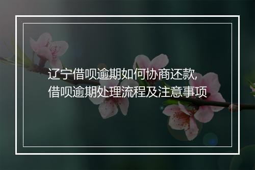 辽宁借呗逾期如何协商还款,借呗逾期处理流程及注意事项