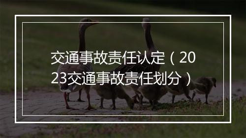 交通事故责任认定（2023交通事故责任划分）