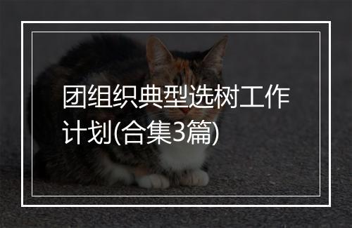 团组织典型选树工作计划(合集3篇)
