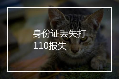 身份证丢失打110报失
