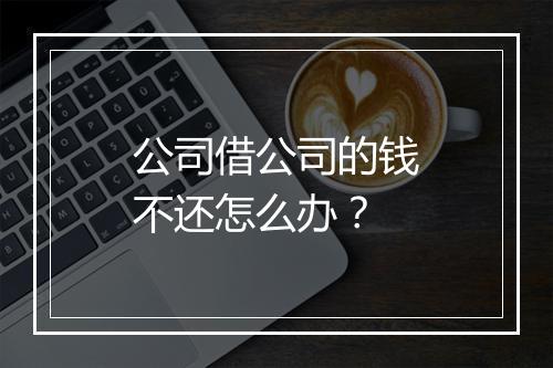 公司借公司的钱不还怎么办？