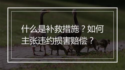 什么是补救措施？如何主张违约损害赔偿？