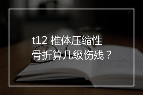 t12 椎体压缩性骨折算几级伤残？