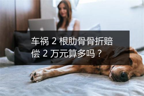 车祸 2 根肋骨骨折赔偿 2 万元算多吗？
