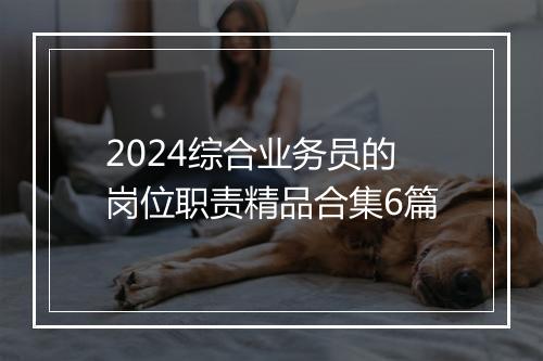 2024综合业务员的岗位职责精品合集6篇