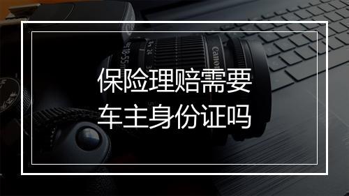 保险理赔需要车主身份证吗