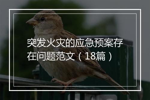 突发火灾的应急预案存在问题范文（18篇）
