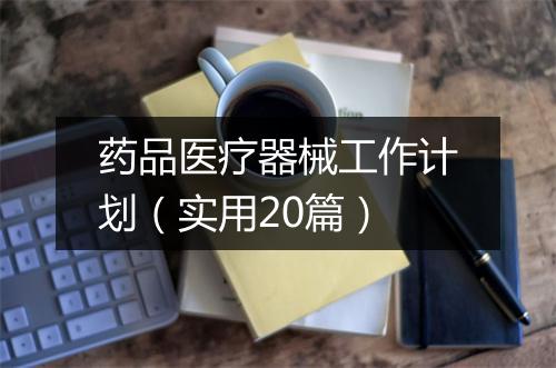 药品医疗器械工作计划（实用20篇）
