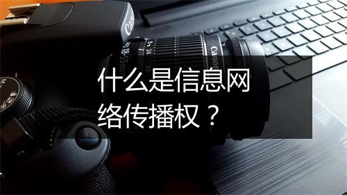什么是信息网络传播权？