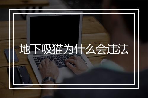 地下吸猫为什么会违法