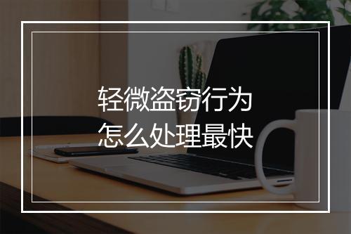 轻微盗窃行为怎么处理最快