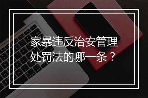 家暴违反治安管理处罚法的哪一条？