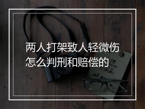 两人打架致人轻微伤怎么判刑和赔偿的