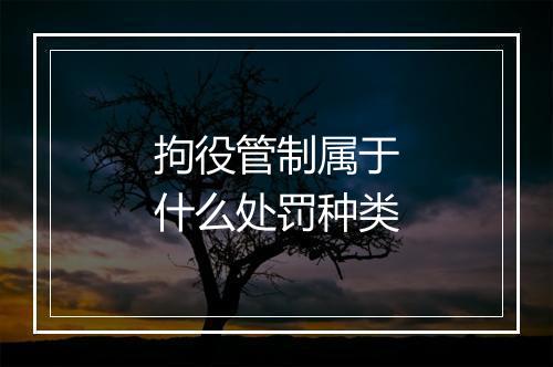 拘役管制属于什么处罚种类