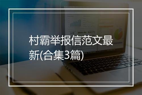 村霸举报信范文最新(合集3篇)