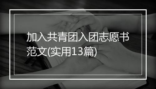加入共青团入团志愿书范文(实用13篇)