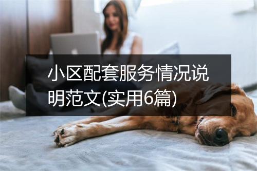 小区配套服务情况说明范文(实用6篇)