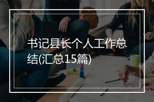 书记县长个人工作总结(汇总15篇)