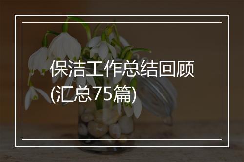保洁工作总结回顾(汇总75篇)