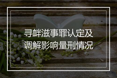寻衅滋事罪认定及调解影响量刑情况