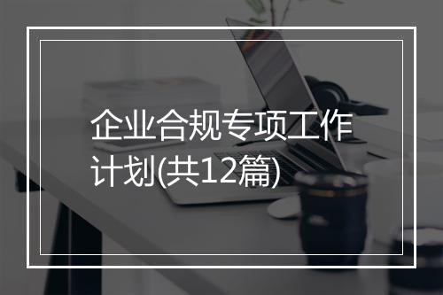 企业合规专项工作计划(共12篇)